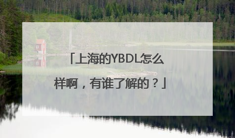 上海的YBDL怎么样啊，有谁了解的？