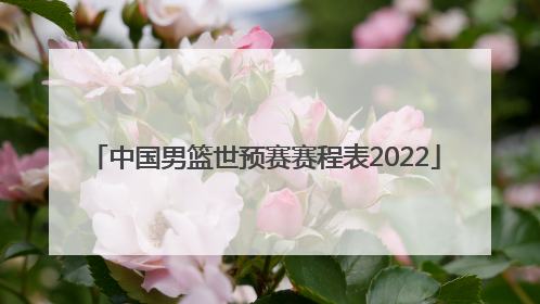 「中国男篮世预赛赛程表2022」cctv5体育赛事回放