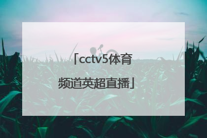 「cctv5体育频道英超直播」ccTv5体育频道直播